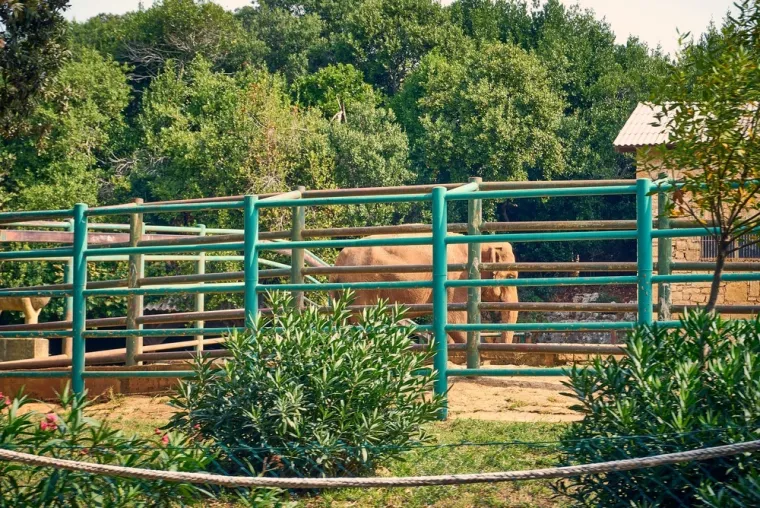 Destinacija koju svatko mora posjetiti: Vodič za izlet u rajski arhipelag povijesti i prirode