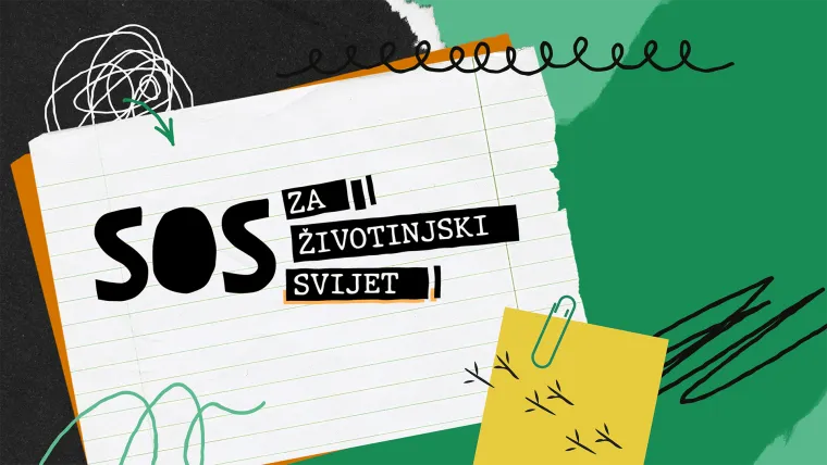 Dan planeta Zemlje na Voyo: Kako najmlađe naučiti da budu istinski čuvari prirode