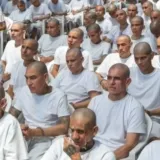 Poznati po ekstremnoj brutalnosti: Počelo masovno suđenje članovima bande MS-13