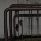 Najezda &scaron;takora u Zagrebu, pogledajte prizore pokraj menze: 'Pojure iz obližnjih ulica'