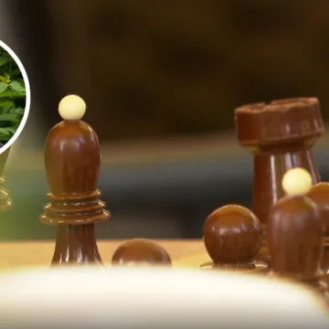 Tko je kraljica, a tko pijun u &scaron;ahovskoj aferi? Donosimo ispovijest čovjeka koji je sve prijavljivao prije 10 godina