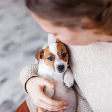 &Scaron;to pasmina va&scaron;eg psa otkriva o va&scaron;oj osobnosti? Odabir četveronožnog suputnika nije slučajan