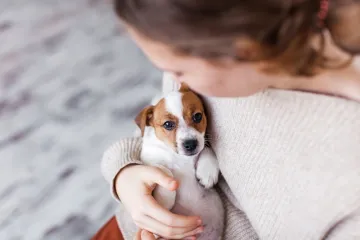 &Scaron;to pasmina va&scaron;eg psa otkriva o va&scaron;oj osobnosti? Odabir četveronožnog suputnika nije slučajan