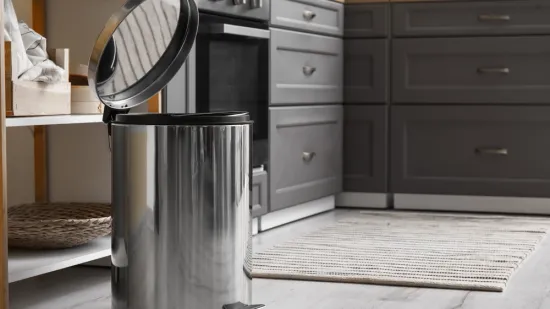 Rije&scaron;ite se jedne stvari iz kante za smeće i recite zbogom muhama