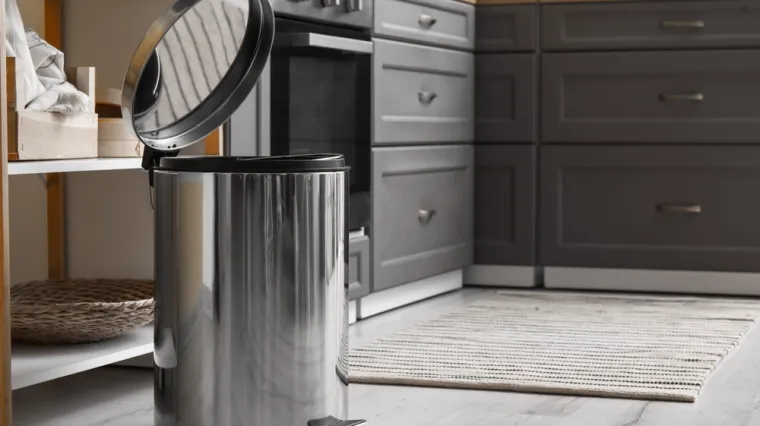 Rije&scaron;ite se jedne stvari iz kante za smeće i recite zbogom muhama