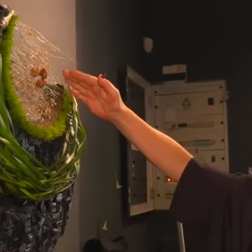 Kad latice progovore jezikom umjetnosti: Ovakve bukete i aranžmane jo&scaron; niste vidjeli