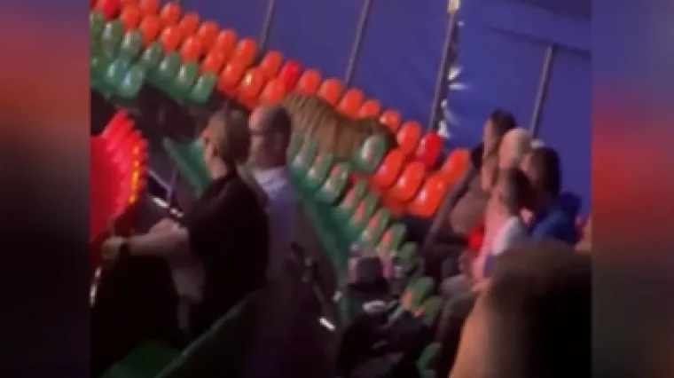 Cirkus ili horor? Tigar nije htio biti dio točke, nego je odlučio iskusiti drugu stranu
