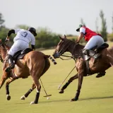 [KVIZ] Može&scaron; li preživjeti ovaj izazov o sportovima u kojima sudjeluju životinje?