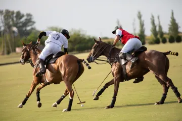 [KVIZ] Može&scaron; li preživjeti ovaj izazov o sportovima u kojima sudjeluju životinje?