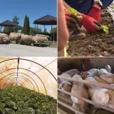 Kaznionica kakvu jo&scaron; niste vidjeli: RTL Danas posjetio je najveću zatvorsku farmu u Hrvatskoj