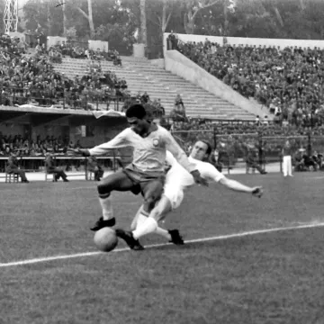 Mundijalske priče: Zvijezde u četvrtfinalu lovile psa! Floki Englezu zapi*ao dres i u&scaron;ao u legendu