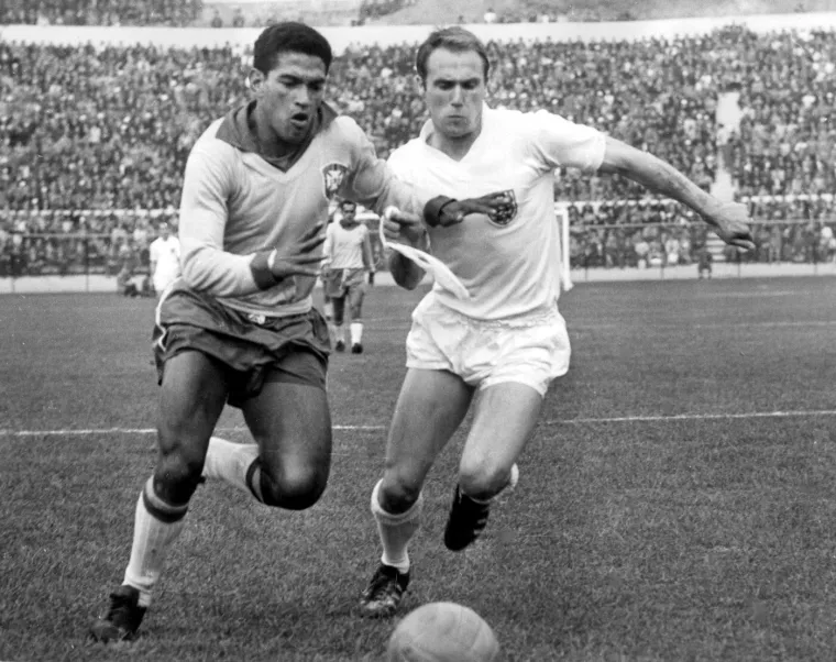 Mundijalske priče: Zvijezde u četvrtfinalu lovile psa! Floki Englezu zapi*ao dres i u&scaron;ao u legendu