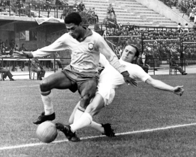 Mundijalske priče: Zvijezde u četvrtfinalu lovile psa! Floki Englezu zapi*ao dres i u&scaron;ao u legendu