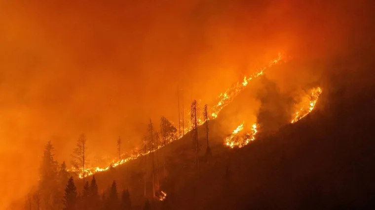 Buktinja kod granice s Italijom: Vatra guta područje veličine 150 nogometnih igrali&scaron;ta