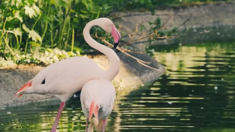 Planirate uskoro u ZOO s djecom? Pripremite se na znatiželjna dječja pitanja uz Voyo