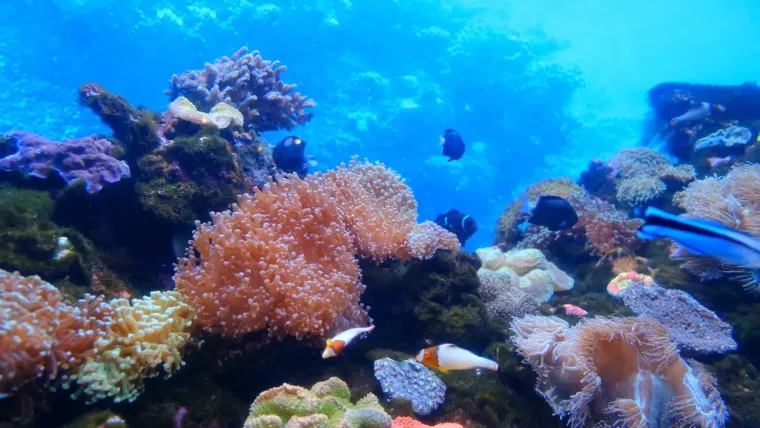 Planirate uskoro u ZOO s djecom? Pripremite se na znatiželjna dječja pitanja uz Voyo