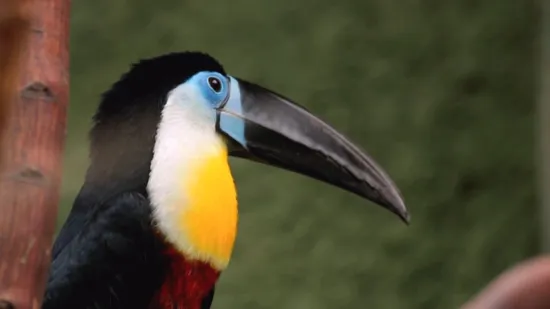 Planirate uskoro u ZOO s djecom? Pripremite se na znatiželjna dječja pitanja uz Voyo