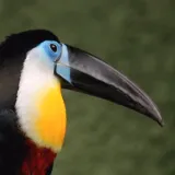 Planirate uskoro u ZOO s djecom? Pripremite se na znatiželjna dječja pitanja uz Voyo