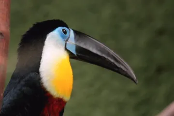 Planirate uskoro u ZOO s djecom? Pripremite se na znatiželjna dječja pitanja uz Voyo