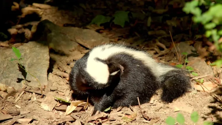 Planirate uskoro u ZOO s djecom? Pripremite se na znatiželjna dječja pitanja uz Voyo