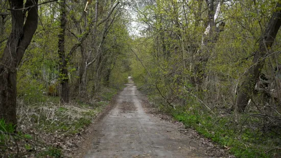 Sekunde koje su promijenile Europu: Pro&scaron;lo je 40 godina, a posljedice i dalje žive