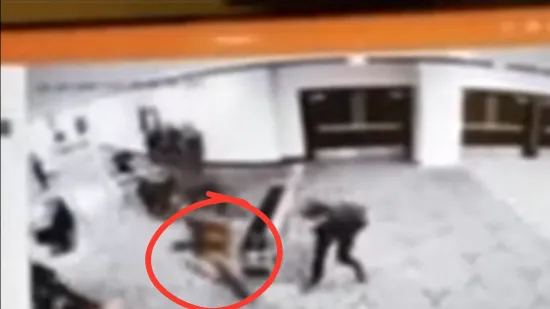 Kaos prije pucnjave: Snimljen trenutak kad je napadač protrčao pored osiguranja