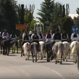 Blagoslov konja okupio Slavonce iz cijele regije: 'Osjete sve - i strah, i ljubav, i tugu i sreću'