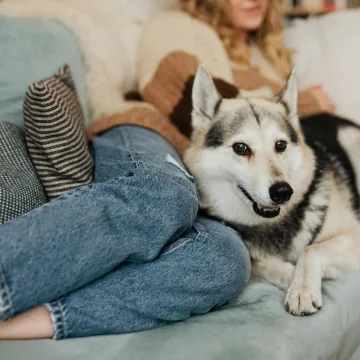 Trenerica pasa otkriva: Ovo su znakovi da se va&scaron; pas osjeća sigurno kod kuće