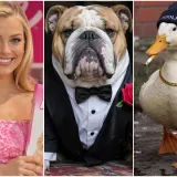 Zaigrajte urnebesnu igru asocijacija, natjerat će vas da upregnete vijuge i pritom se nasmijete