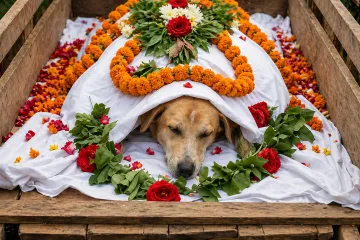 Neustra&scaron;iva lutalica žrtvovala život i spasila vi&scaron;e od tridesetero djece od zmije otrovnice