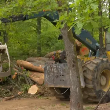 Jo&scaron; se saniraju posljedice oluje pod Sljemenom: Građanima uskoro stiže poziv za od&scaron;tetu