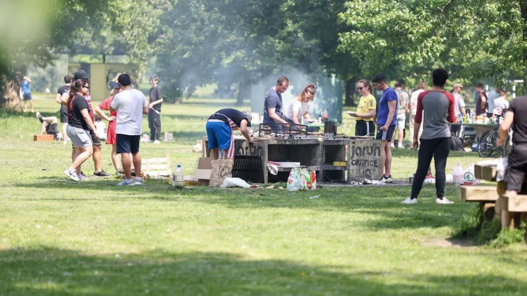 Zoranov prvomajski komentar je hit! A onda se javio imenjak i dopunio mesnu rapsodiju