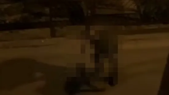 Mu&scaron;karac u Zagrebu brutalno tukao psa, sve je snimljeno! Imamo reakciju policije