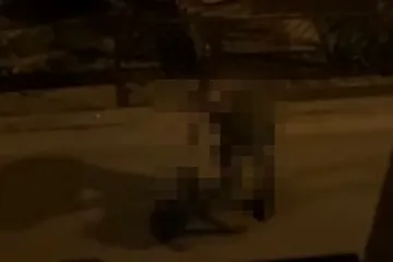 Mu&scaron;karac u Zagrebu brutalno tukao psa, sve je snimljeno! Imamo reakciju policije