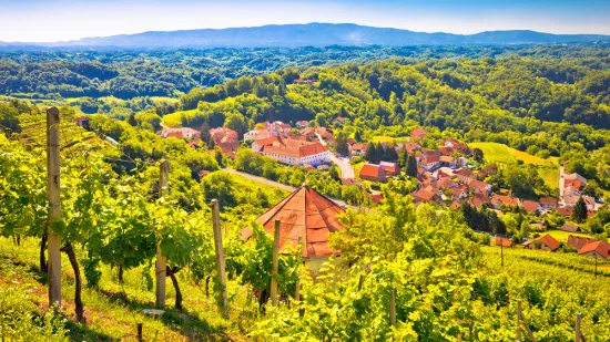 [KVIZ] Samo pravi kajkavci razumjet će značenje vi&scaron;e od osam ovih riječi