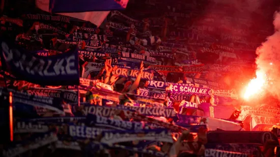 Velikan se vraća tamo gdje mu je i mjesto: Schalke izborio povratak među elitu