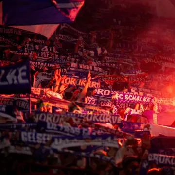 Velikan se vraća tamo gdje mu je i mjesto: Schalke izborio povratak među elitu