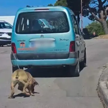 Vlasnik vezao psa za automobil i vukao ga po &Scaron;ibeniku! 'Za&scaron;to nitko ne reagira?'