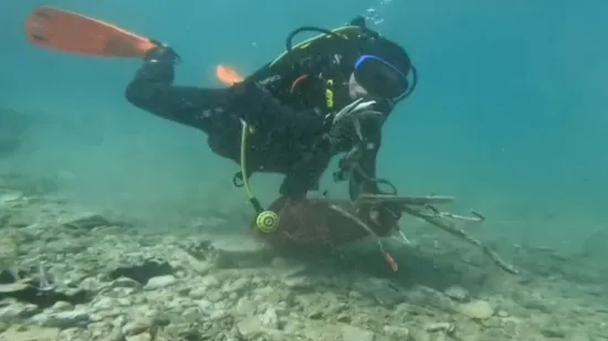 Od bu&scaron;ilica do igračaka, ba&scaron; svega ima: Ronioci iz vi&scaron;e zemalja u velikoj akciji či&scaron;ćenja Jadrana