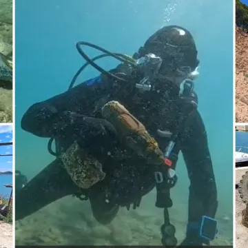 Turisti slikaju bor koji visi u zraku, malo dalje u moru? Bu&scaron;ilica, autić, zimske i ljetne gume...