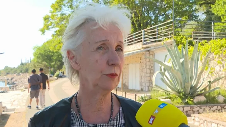 Sutkinja za mladež: 'Maloljetnike koji su dojavljivali o bombama možemo zaposliti u IT tvrtke'