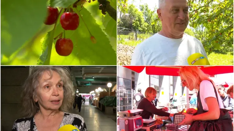 Cijena tre&scaron;anja ru&scaron;i rekorde! Ela: 'Ja bih onoga tko to može platiti pitala za porijeklo imovine'