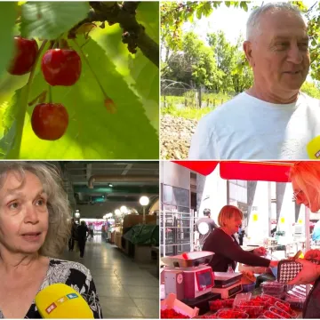 Cijena tre&scaron;anja ru&scaron;i rekorde! Ela: 'Ja bih onoga tko to može platiti pitala za porijeklo imovine'