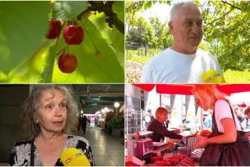 Cijena tre&scaron;anja ru&scaron;i rekorde! Ela: 'Ja bih onoga tko to može platiti pitala za porijeklo imovine'