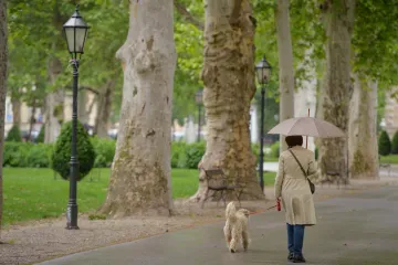 Meteorolog otkrio do kada će trajati južina, pljuskovi i grmljavina