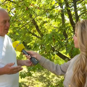 Cijena kilograma tre&scaron;nje &scaron;okirala Hrvate: 'Nema veze s realno&scaron;ću, masovno nas pljačkaju'