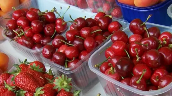 Cijena tre&scaron;anja &scaron;okirala Hrvate: 'Nema veze s realno&scaron;ću, masovno nas pljačkaju'