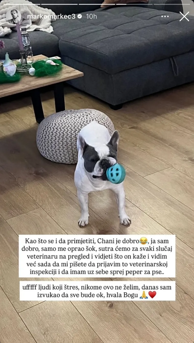 Agresivni pas napao domaćeg influencera i njegovog ljubimca: 'Bilo je stra&scaron;no i jezivo'