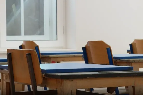 Nasilne učenike kažnjavat će &scaron;ibanjem: Mogu dobiti i do tri udarca &scaron;tapom