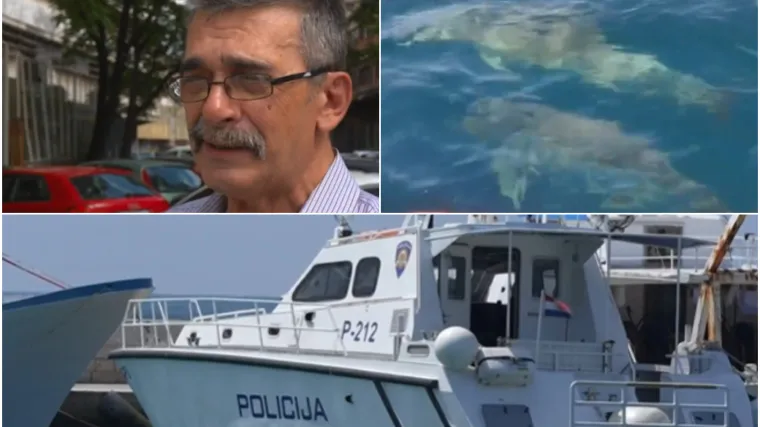 Građani zgroženi nakon pronalaska ubijenog dupina: 'Kakav prema životinjama, takav i prema ljudima'